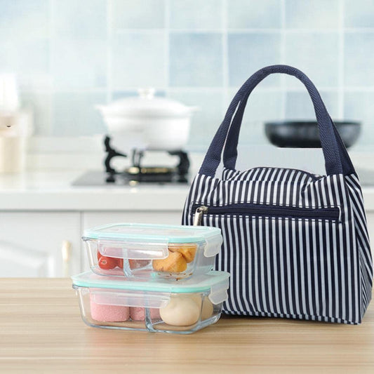 Portable Lunch Bag | Student Picnic Storage Bag with Blue Grids Design