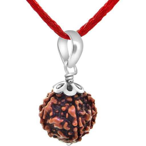 Original 5 Mukhi Rudraksha Bead